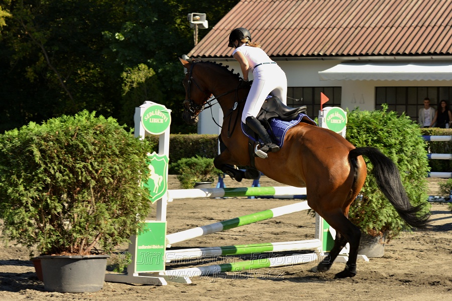 Stupňovaná obtížnost s žolíkem do 105 cm