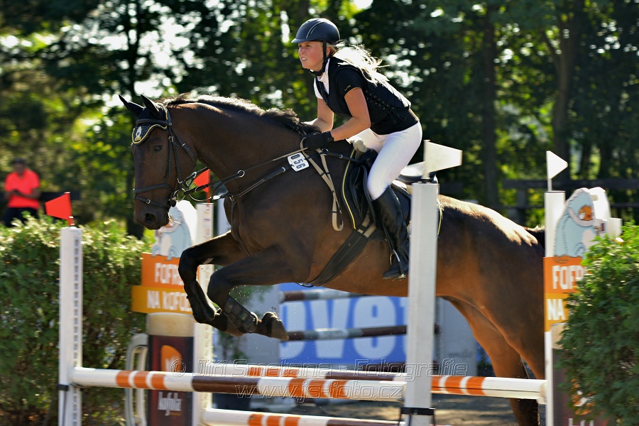 Stupňovaná obtížnost s žolíkem do 105 cm