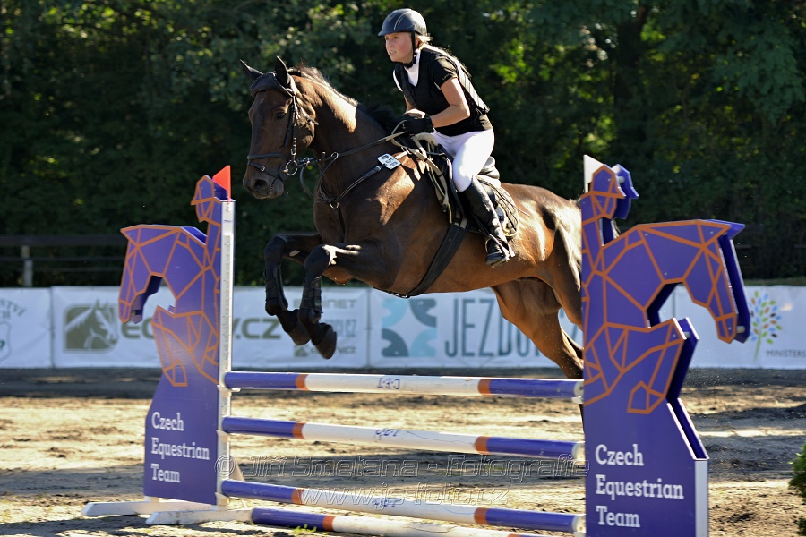 Stupňovaná obtížnost s žolíkem do 105 cm