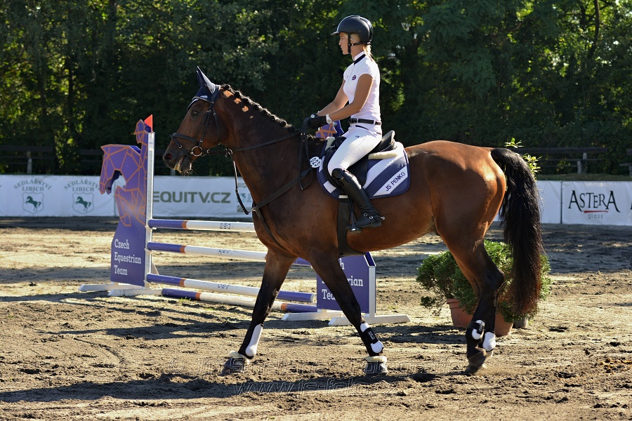 Stupňovaná obtížnost s žolíkem do 105 cm