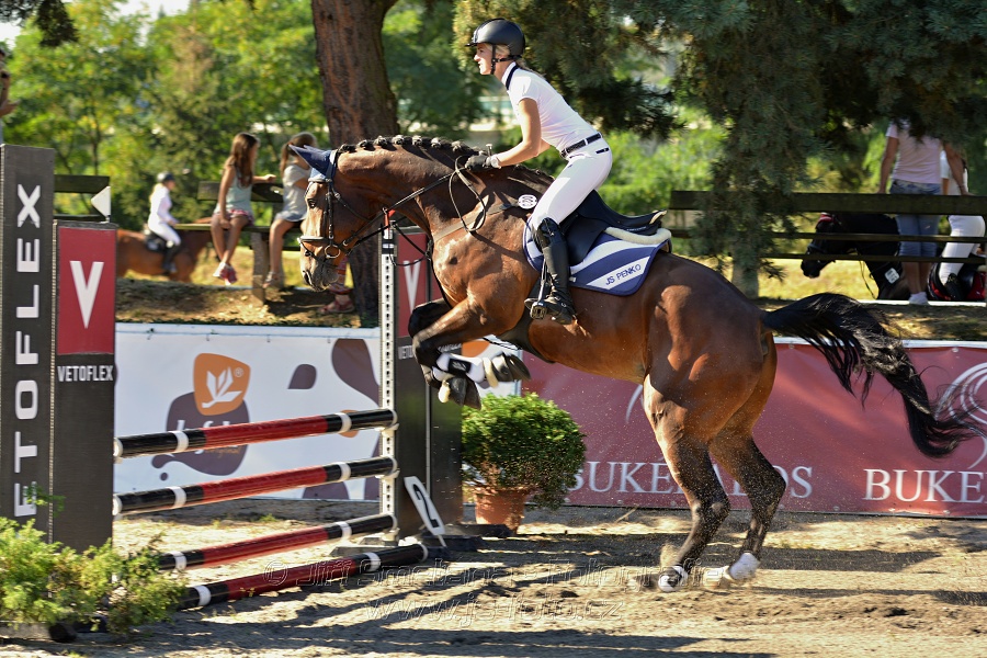 Stupňovaná obtížnost s žolíkem do 105 cm