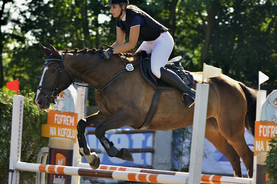 Stupňovaná obtížnost s žolíkem do 105 cm