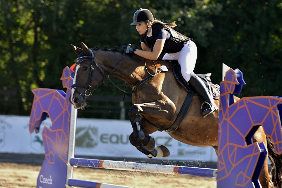 Stupňovaná obtížnost s žolíkem do 105 cm