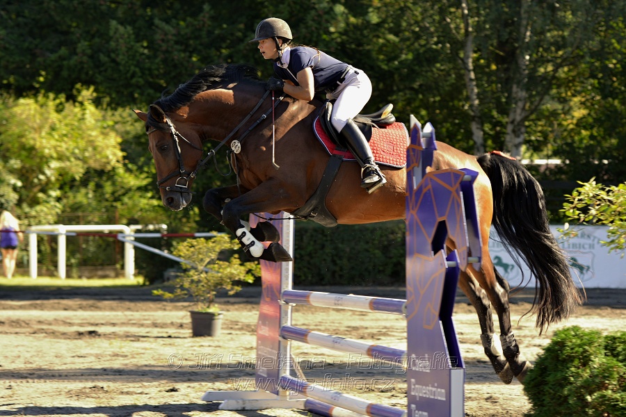 Stupňovaná obtížnost s žolíkem do 105 cm