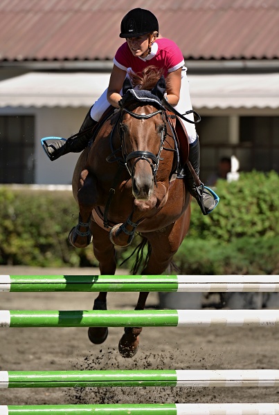 Skoková soutěž s návazným rozeskakováním - 110 cm