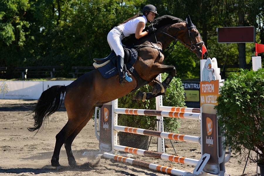 Skoková soutěž s návazným rozeskakováním - 110 cm