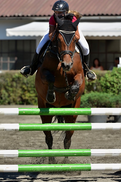 Skoková soutěž s návazným rozeskakováním - 110 cm