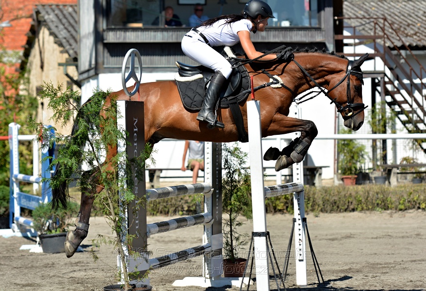 Skoková soutěž s návazným rozeskakováním - 110 cm