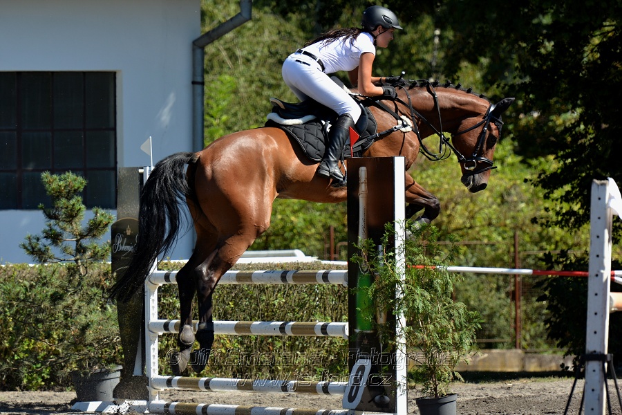 Skoková soutěž s návazným rozeskakováním - 110 cm