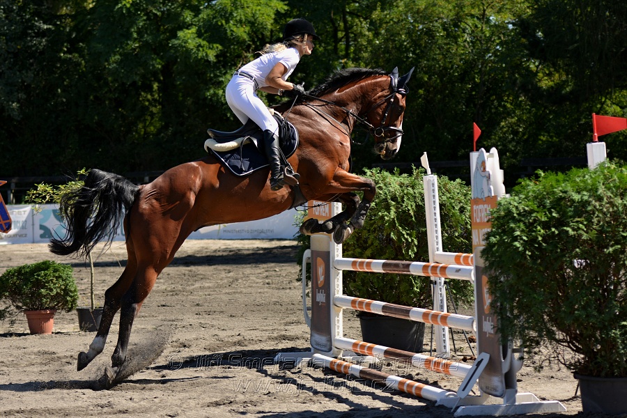 Skoková soutěž s návazným rozeskakováním - 110 cm