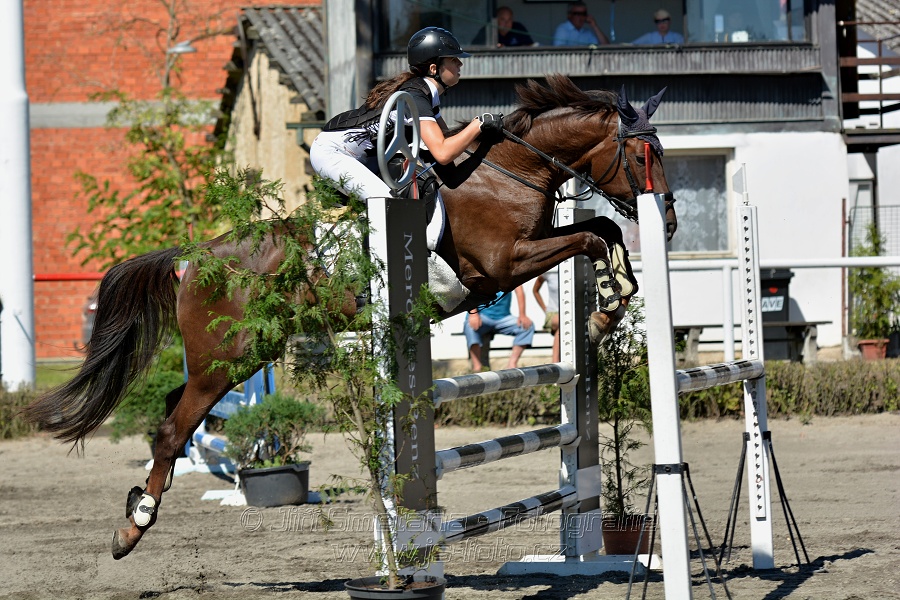 Skoková soutěž s návazným rozeskakováním - 110 cm