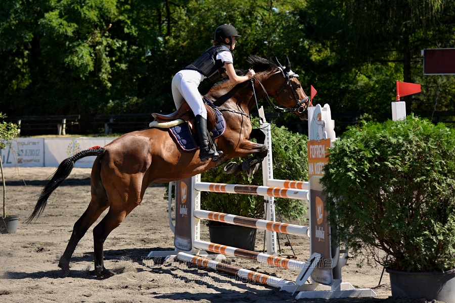 Skoková soutěž s návazným rozeskakováním - 110 cm