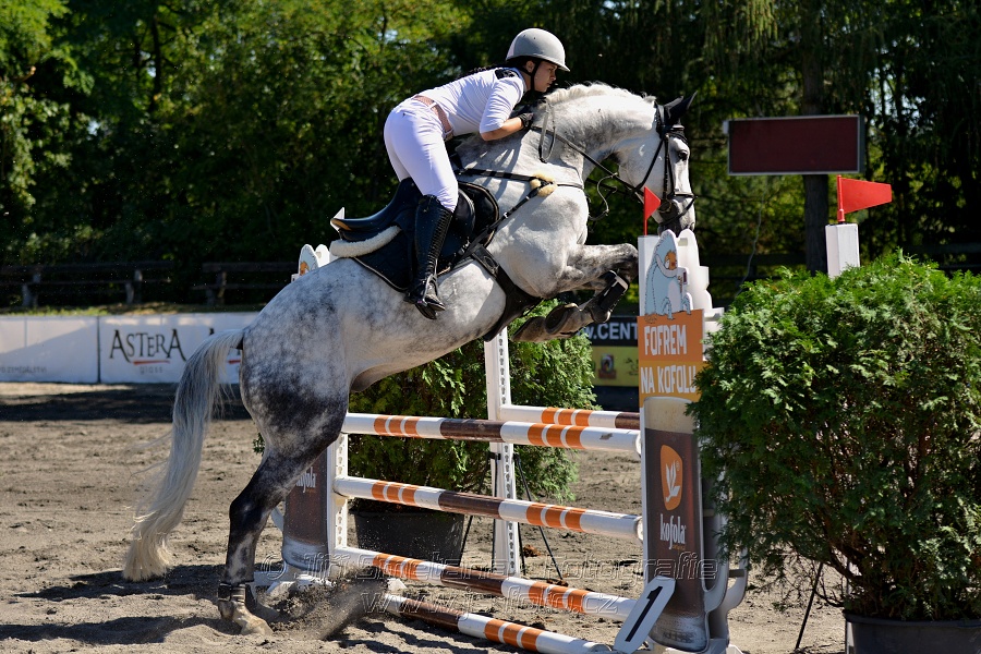 Skoková soutěž s návazným rozeskakováním - 110 cm