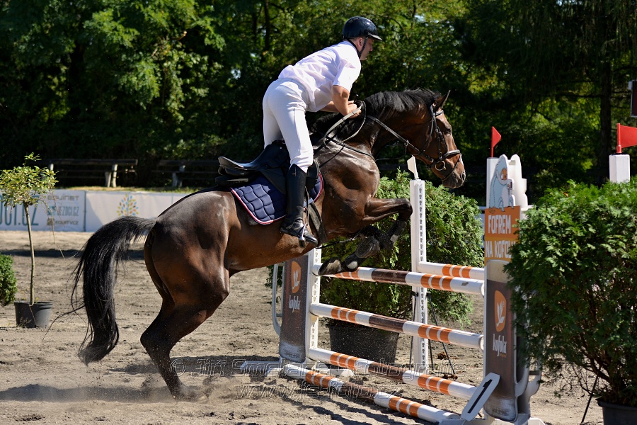 Skoková soutěž s návazným rozeskakováním - 110 cm