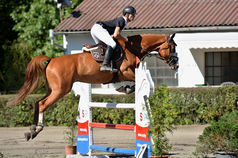 Dvoufázové skákání 115/125cm