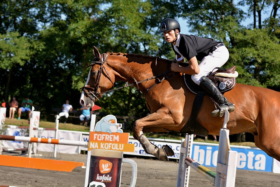 Dvoufázové skákání 115/125cm