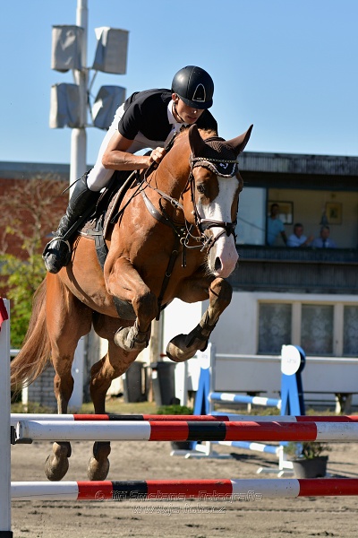 Dvoufázové skákání 115/125cm