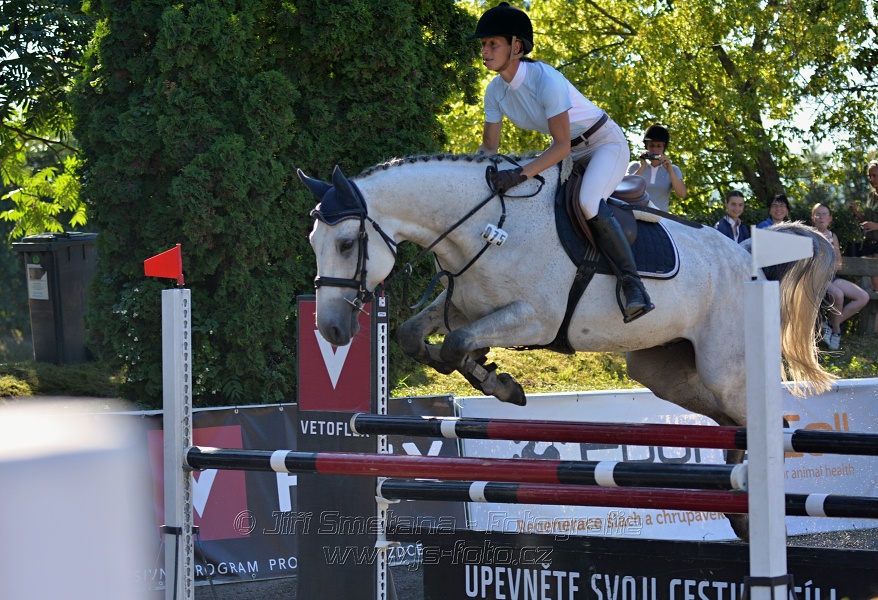 Dvoufázové skákání 115/125cm