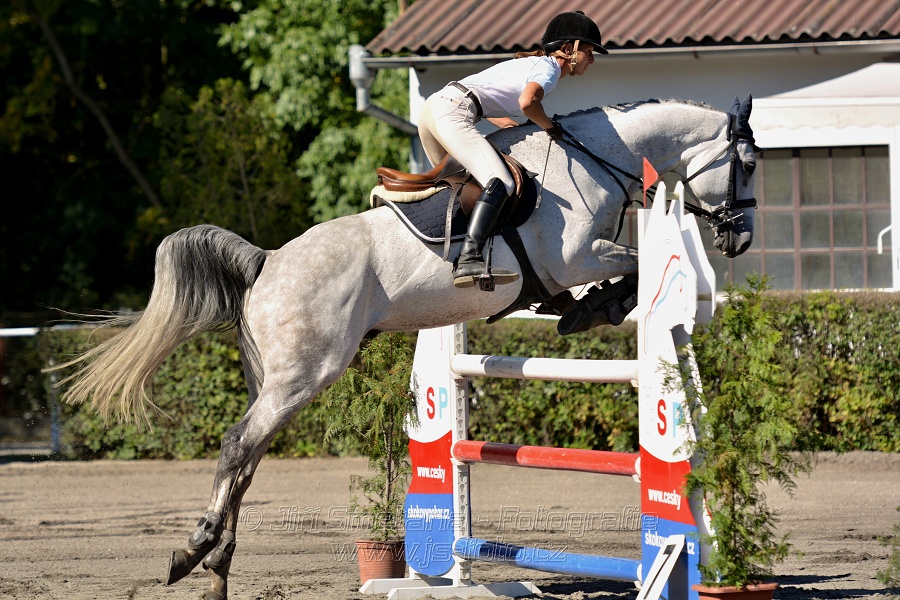 Dvoufázové skákání 115/125cm