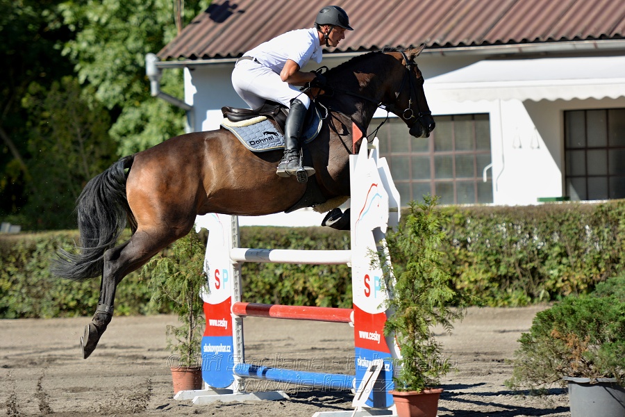 Dvoufázové skákání 115/125cm