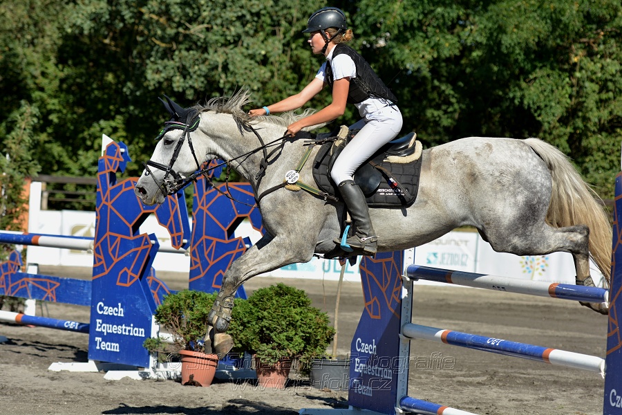 Dvoufázové skákání 115/125cm