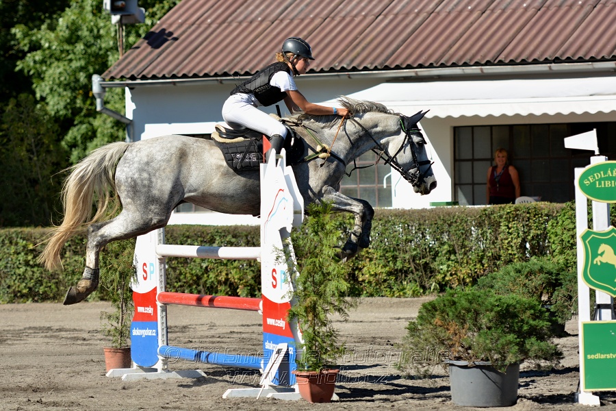 Dvoufázové skákání 115/125cm