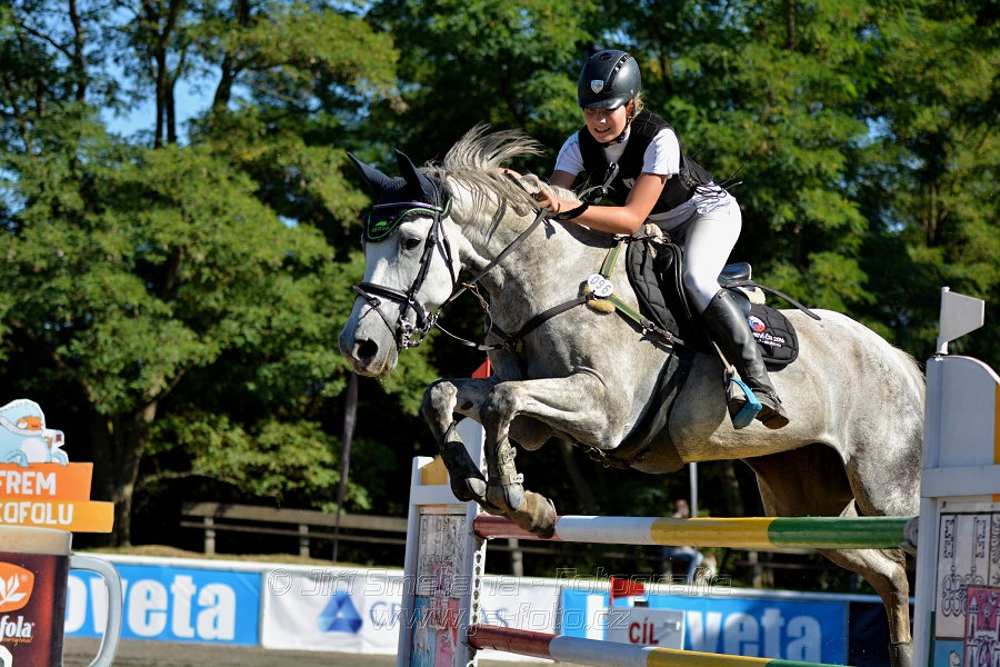 Dvoufázové skákání 115/125cm