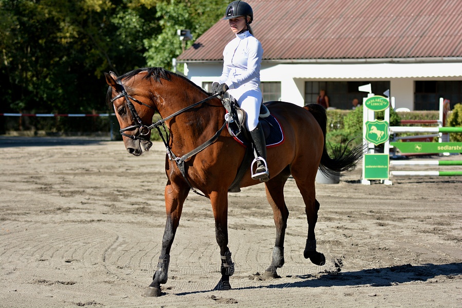 Dvoufázové skákání 115/125cm