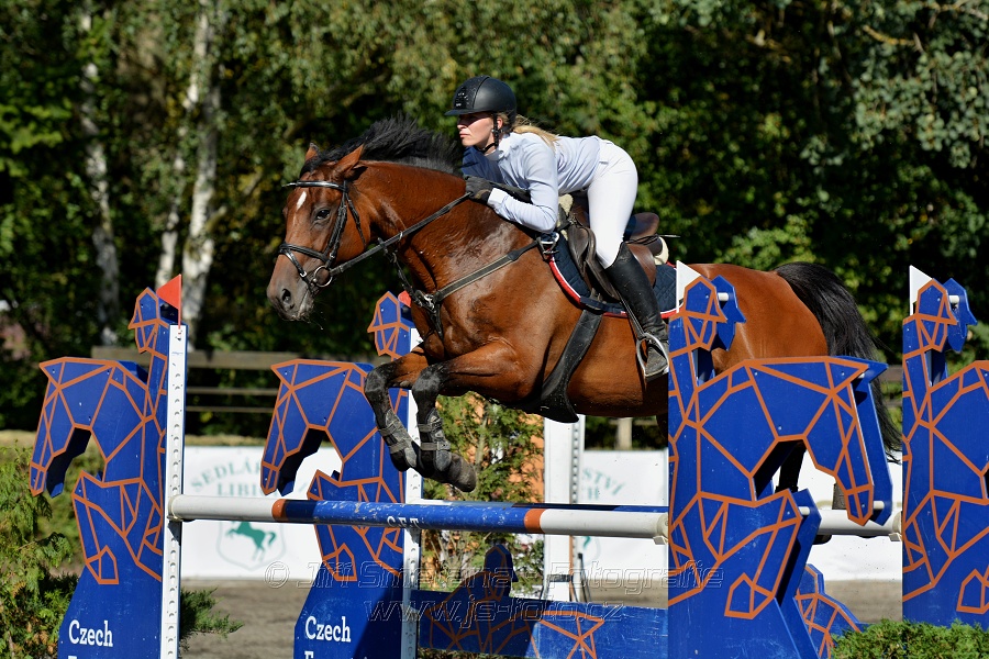 Dvoufázové skákání 115/125cm