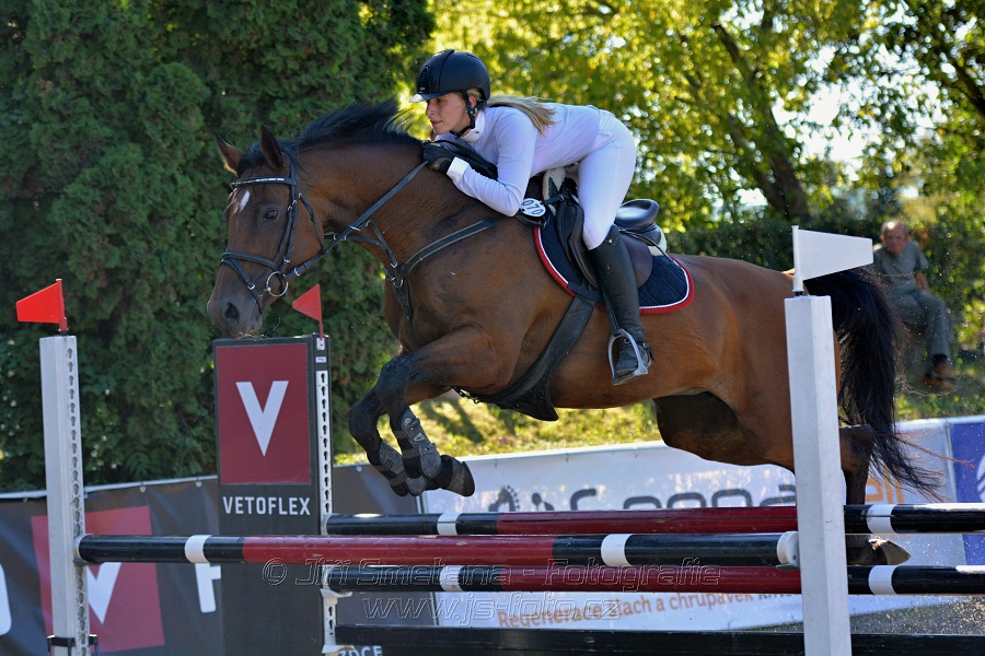 Dvoufázové skákání 115/125cm