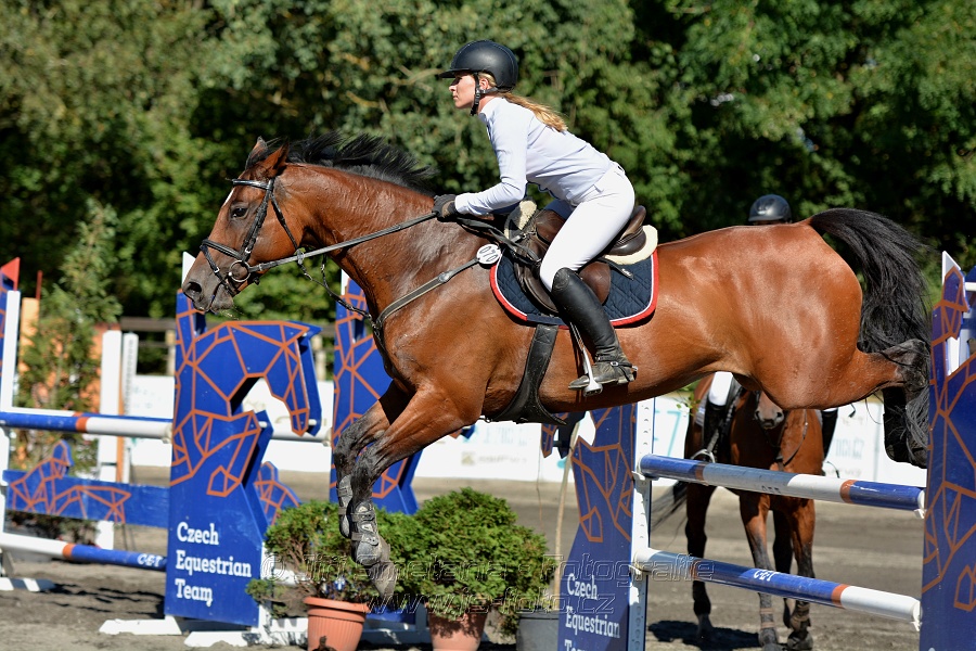 Dvoufázové skákání 115/125cm