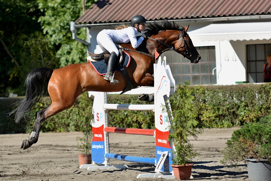 Dvoufázové skákání 115/125cm