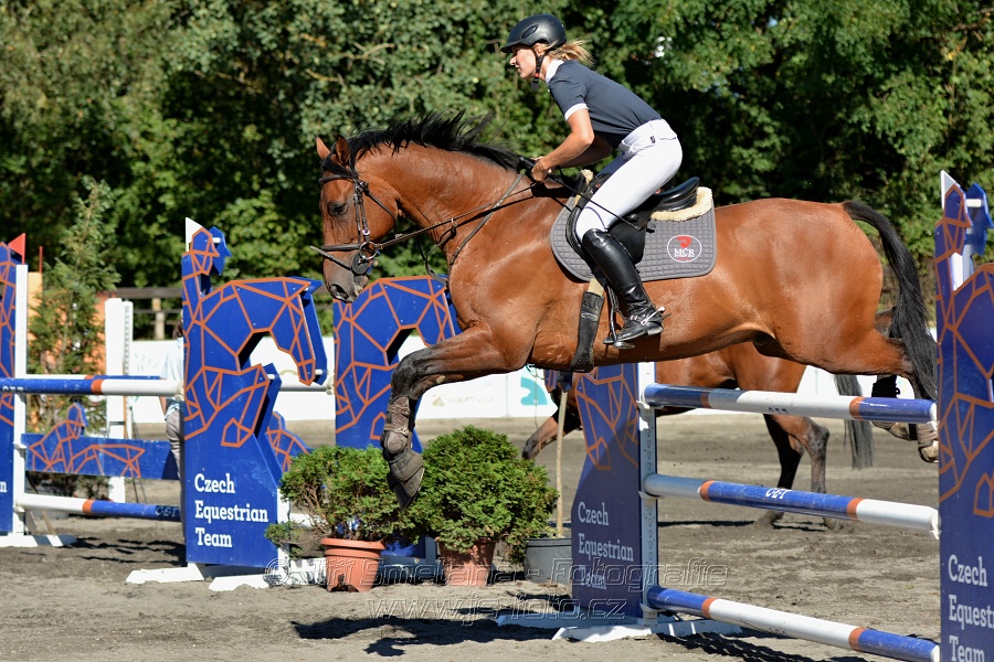 Dvoufázové skákání 115/125cm