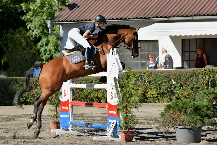 Dvoufázové skákání 115/125cm