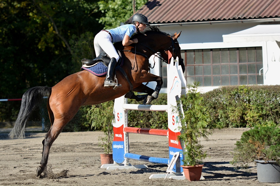 Dvoufázové skákání 115/125cm