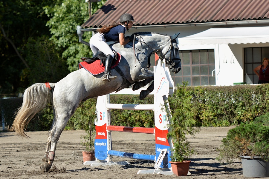 Dvoufázové skákání 115/125cm