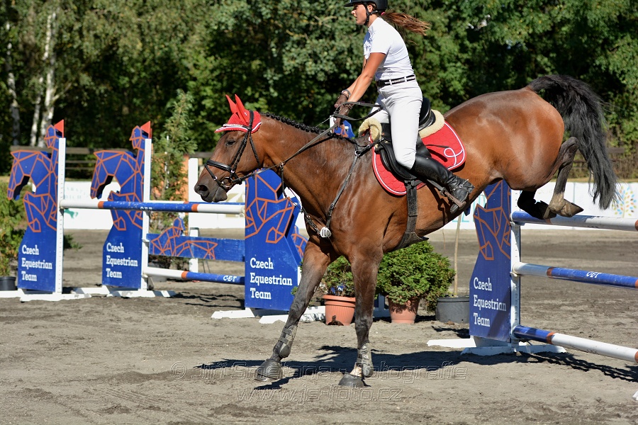 Dvoufázové skákání 115/125cm