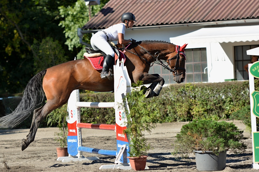 Dvoufázové skákání 115/125cm