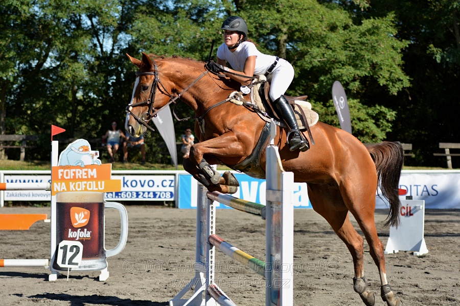 Dvoufázové skákání 115/125cm