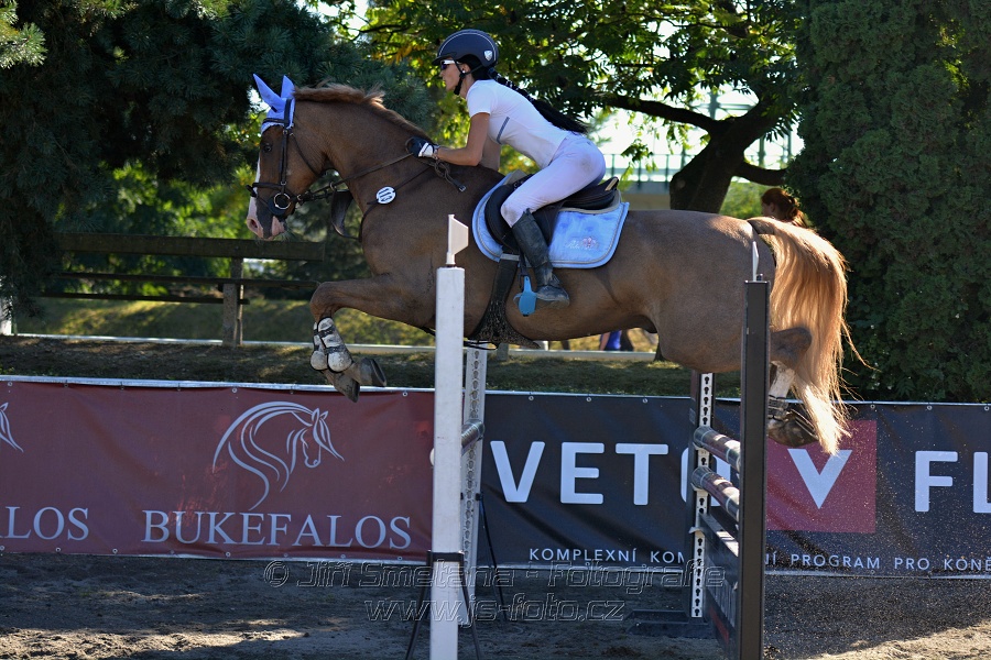 Dvoufázové skákání 115/125cm