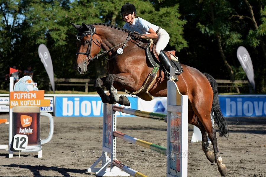 Dvoufázové skákání 115/125cm