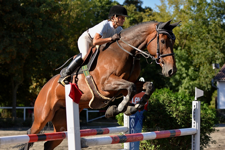 Dvoufázové skákání 115/125cm