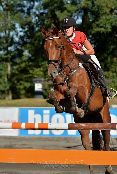 Dvoufázové skákání 125/135cm