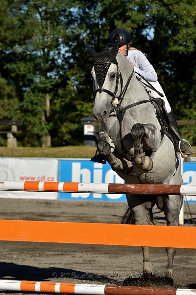 Dvoufázové skákání 125/135cm