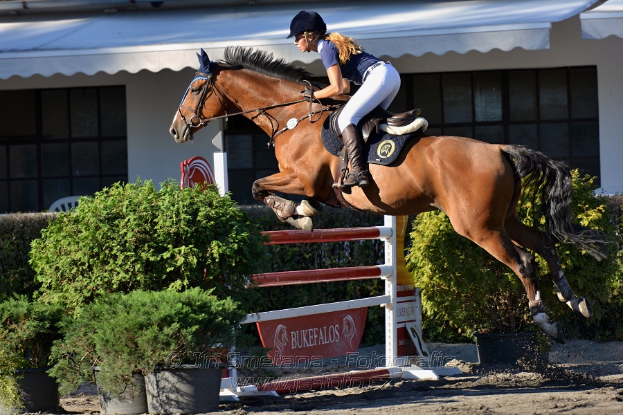 Dvoufázové skákání 125/135cm