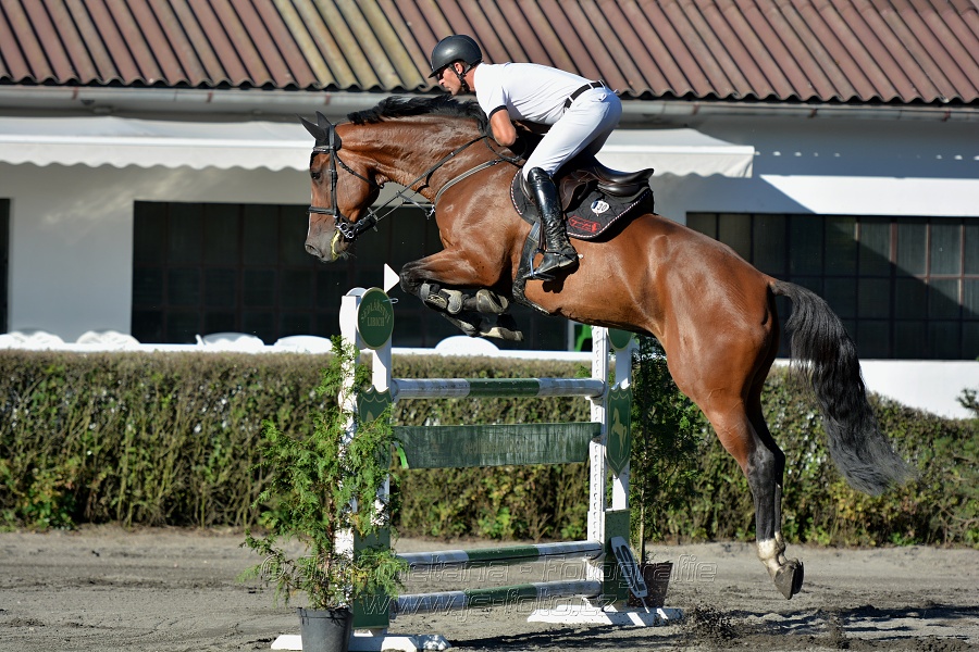 Dvoufázové skákání 125/135cm