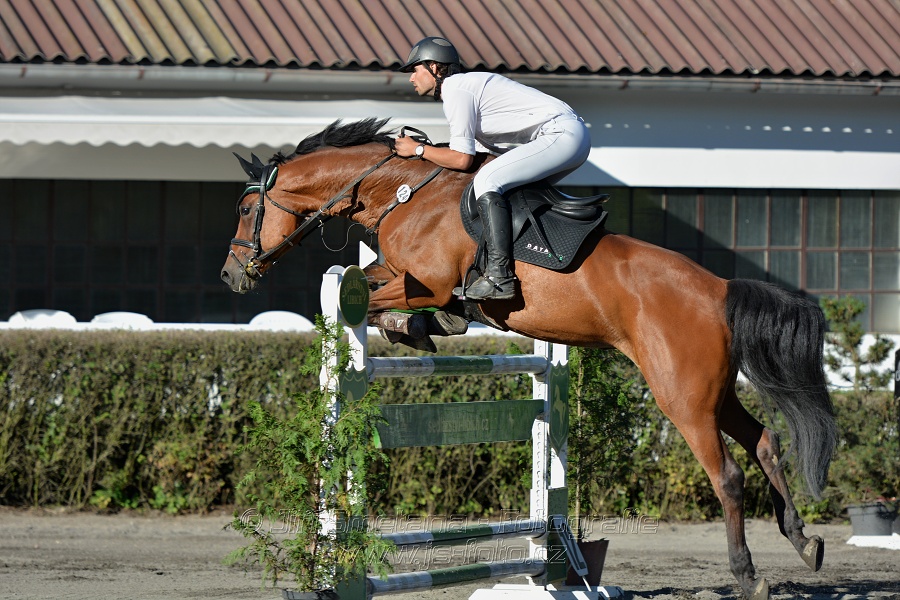 Dvoufázové skákání 125/135cm