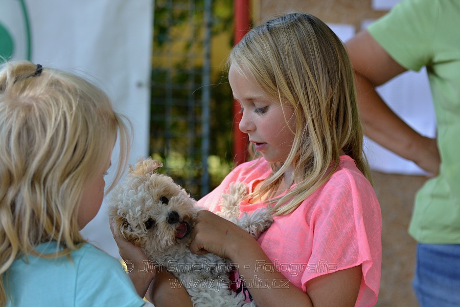 Skoková soutěž stupně „S**“