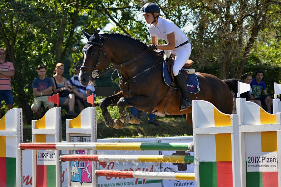 Skoková soutěž stupně „S**“