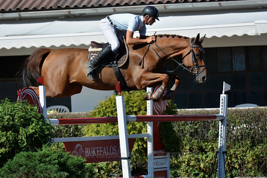 Cena Plzeňského kraje 2016 - Skoková soutěž st. „ST*
